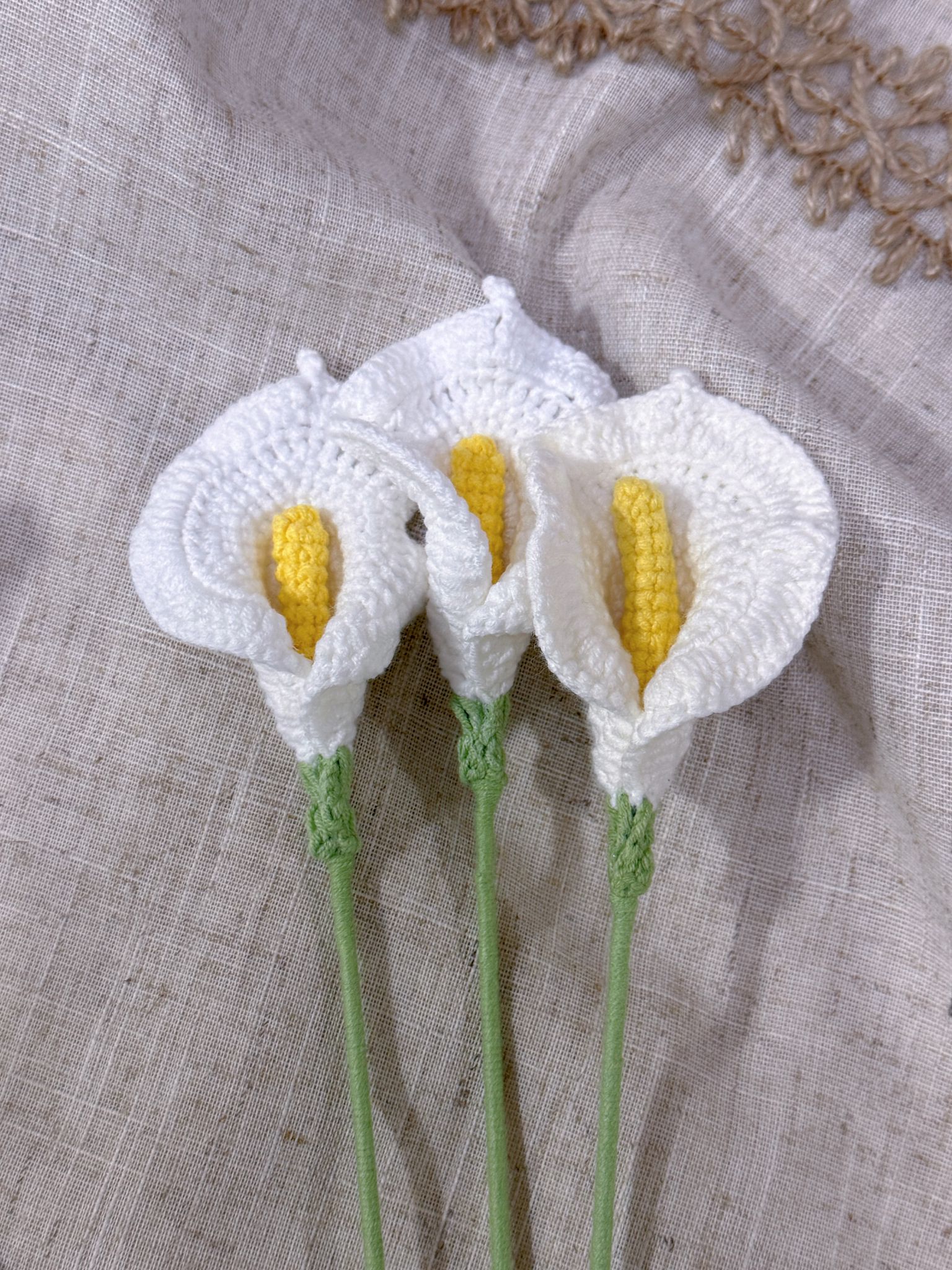 Calla Lily