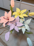 Afghan Lily
