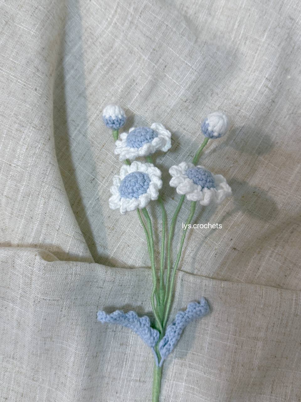 Daisy