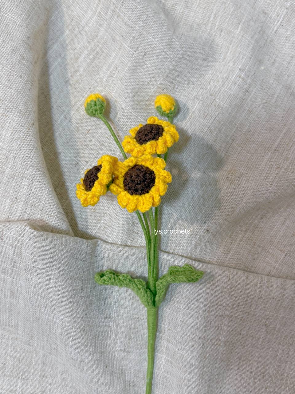 Daisy