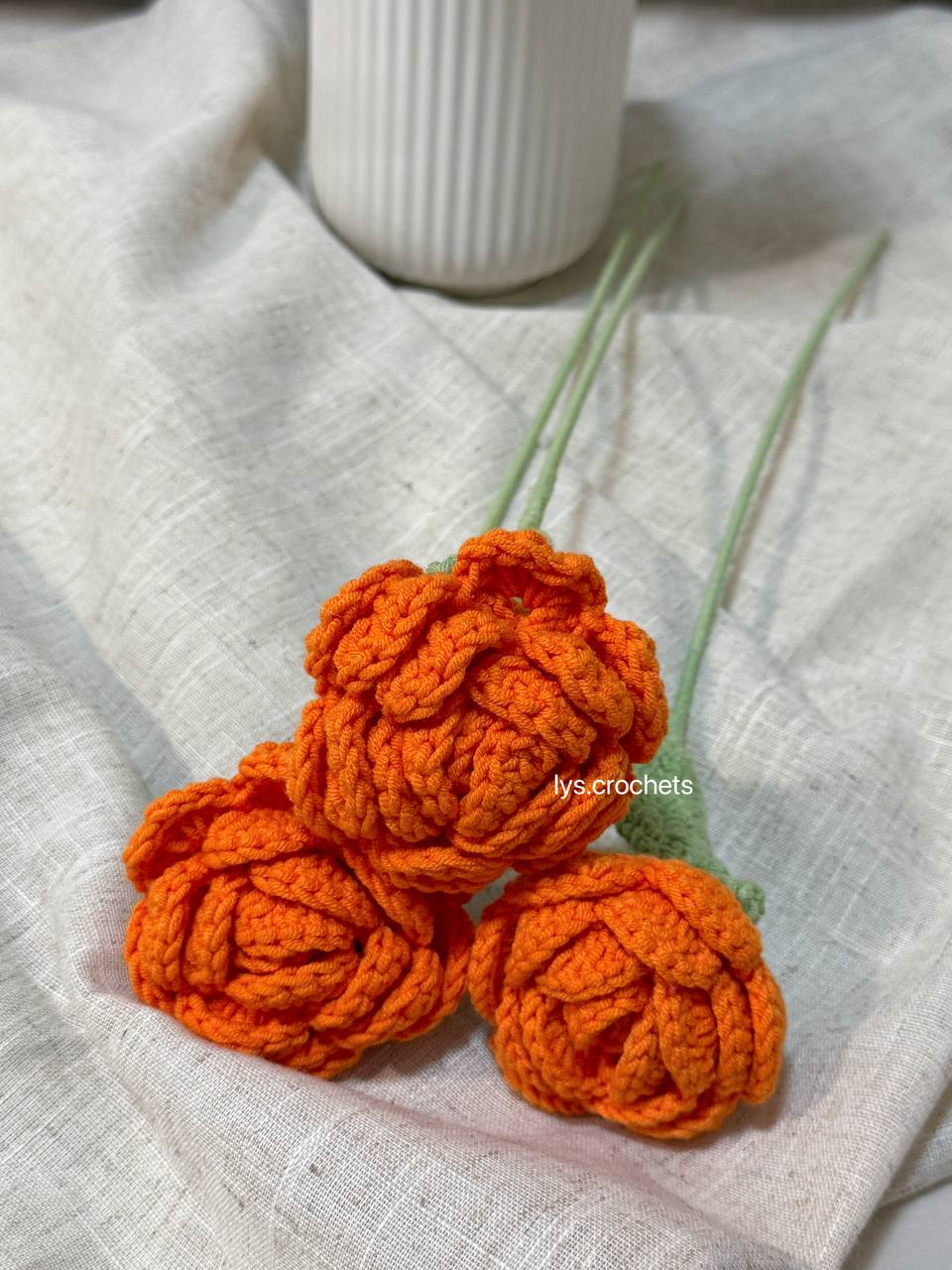 Orange and Red Rose
