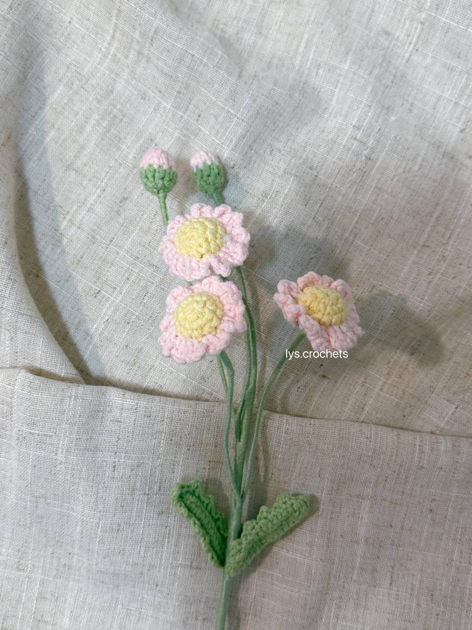Daisy