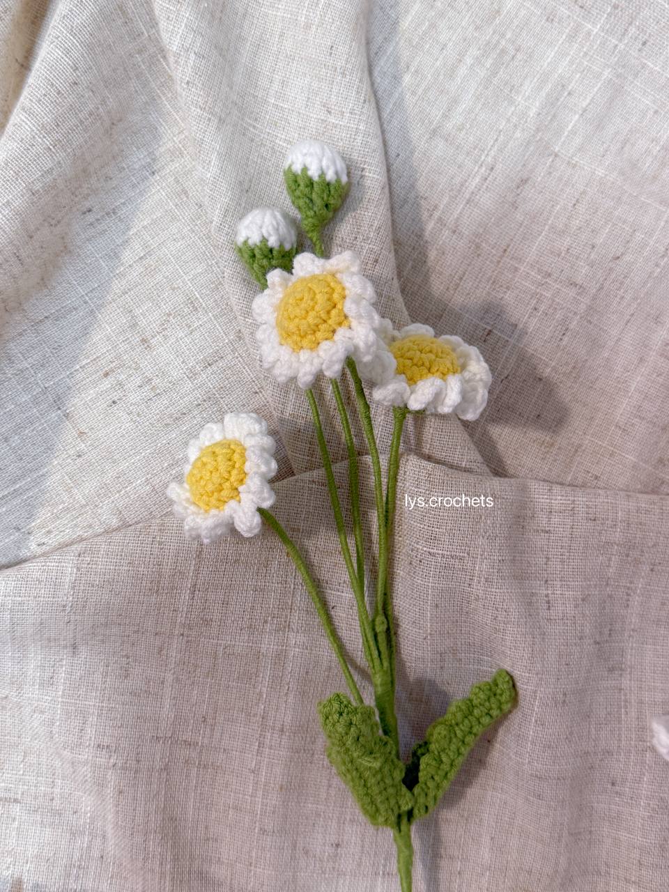 Daisy