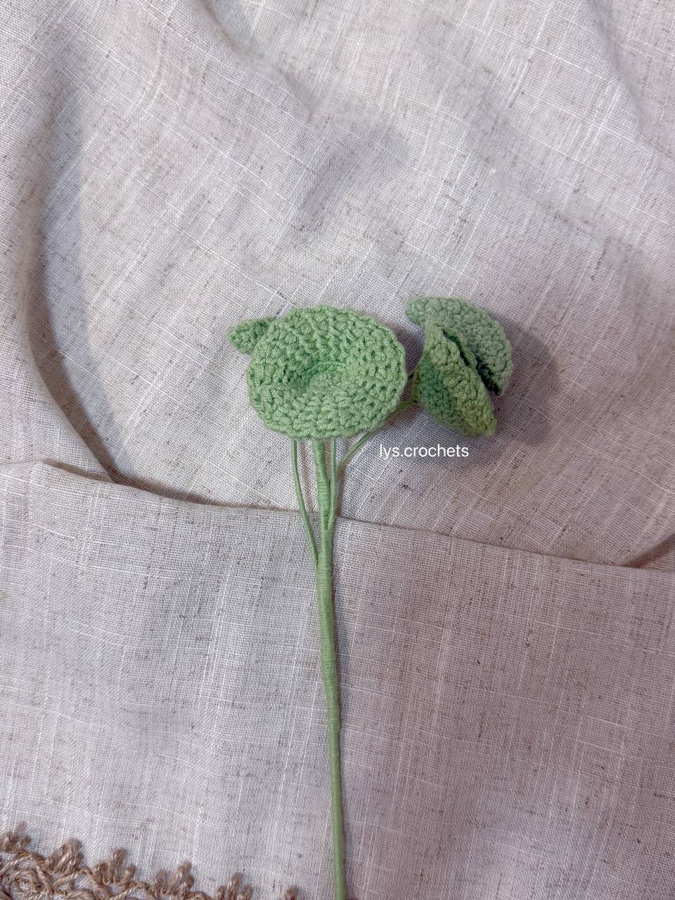 Assorted Leaf