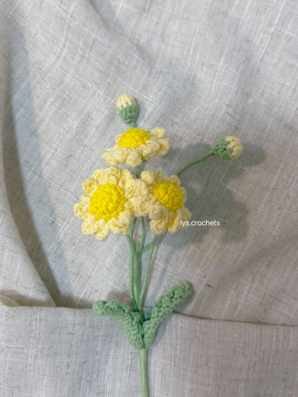 Daisy