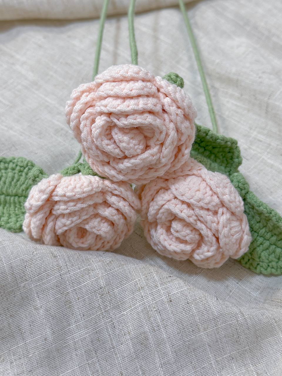 Pink Rose