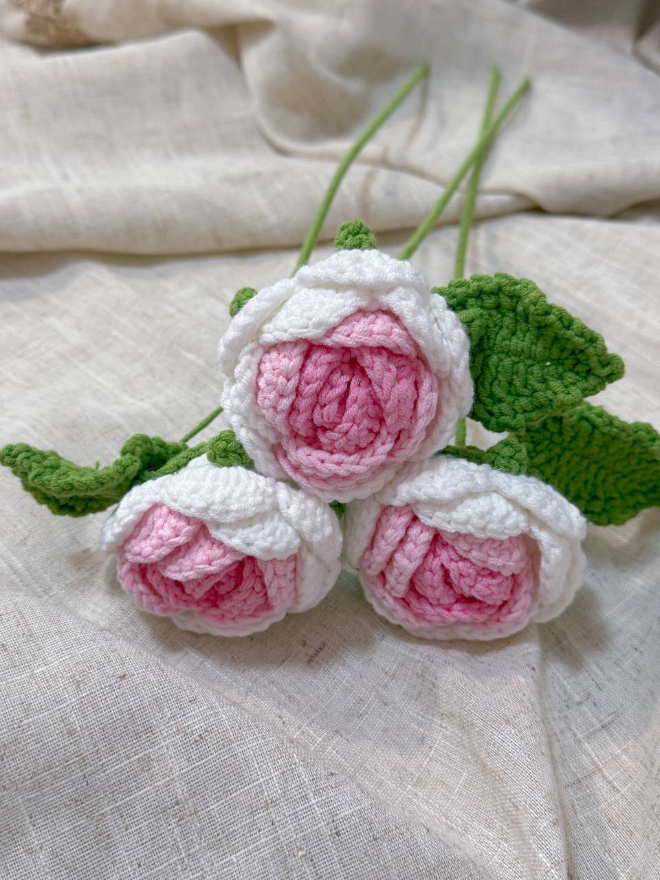 Pink Rose