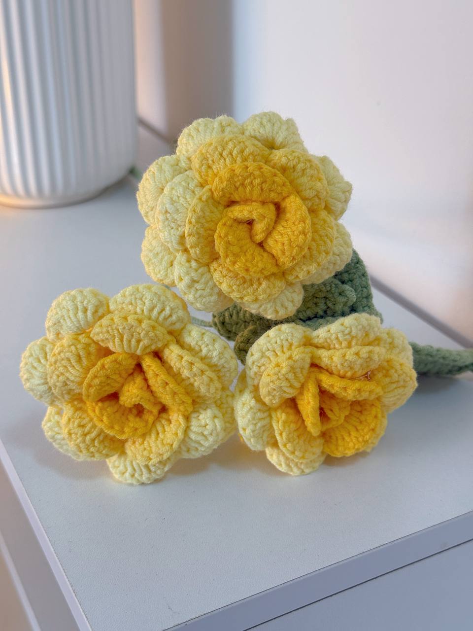 Yellow Rose