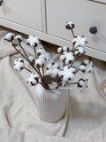 Cotton
