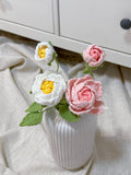 Shrub Rose
