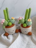 Jellycat Cactus
