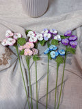 Pansy