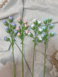 Bell Flower