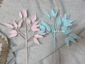 Aralia Fern
